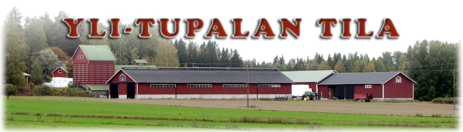 Yli-Tupalan tila